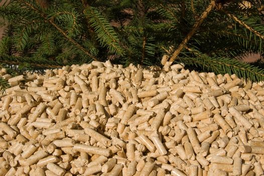 wood pellets green energy and branches of red deal