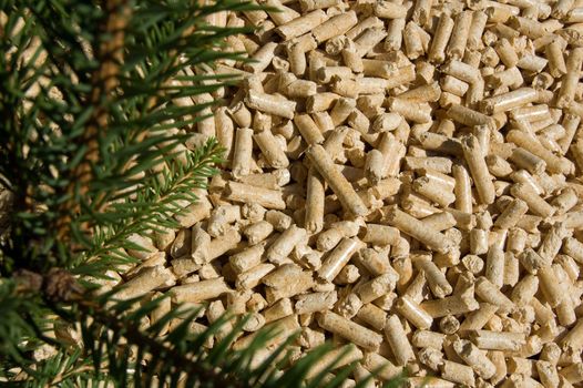 wood pellets green energy and branches of red deal