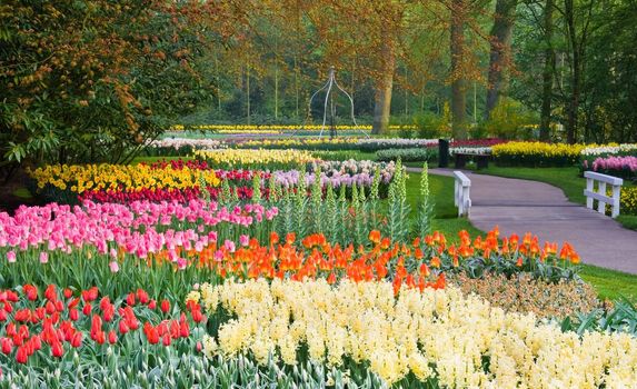 Lots of spring flowers in the park on a sunny april day