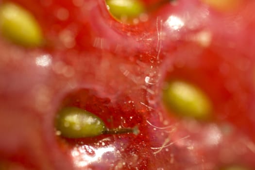 macro red  strawberry against white background