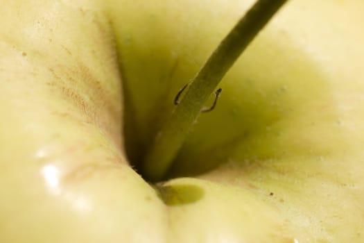 yellow and green apple macro