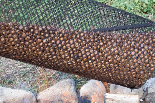 A traditional cylinder to roast chestnuts on the fire