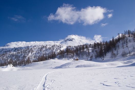 icy alpine lake landscape full of snow with a small village on the top; Alps, Italy