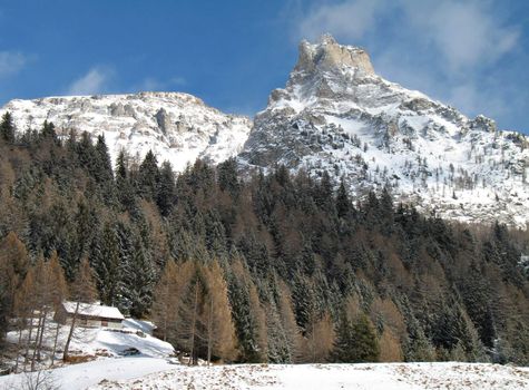 winter landscape with snowy windy rocks and green firs in val d'Ossola, Italy