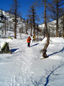 Winter snowhoes trekking in high mountain; destination: paradise.