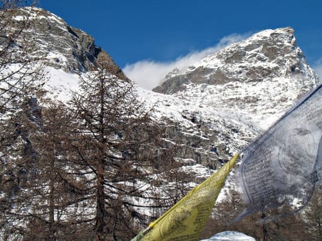 Small prayer flags are waving in the peace of high mountain; snow, wind and trees