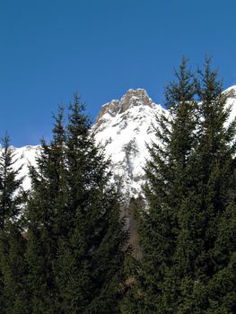 winter landscape with snowy rocks and green firs in val d'Ossola, Italy