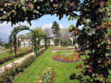 tulips and other flowers in a garden near Lago Maggiore, Italy