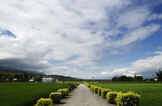 It is a road across the green famr.