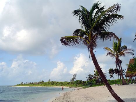 A tropical beach near Tulum, Yucatan, Mexico                