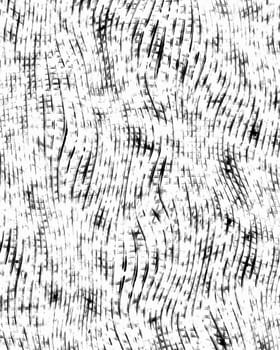 abstract pattern of grunge vertical black waves on white