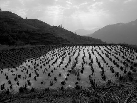 rice terraces, guilin, china