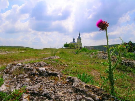 ortodox church