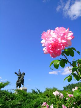 rose flower and monument