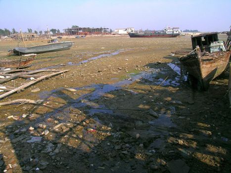 small harbor during low tide