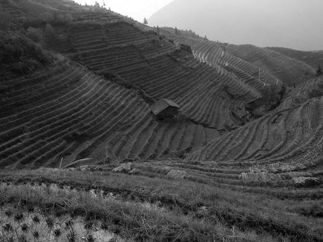 Rice terraces, guilin, china
