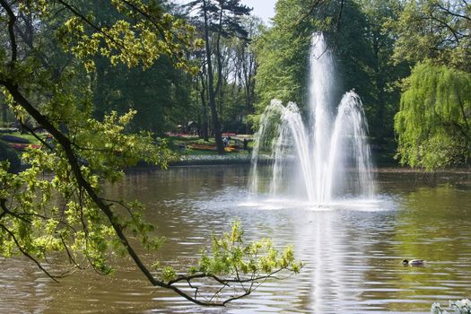 Fountain in pond iin the park in springtime on a sunny day 