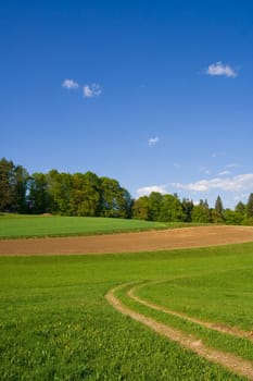 Rural scene with meadow, field, forest, path and blue sky.