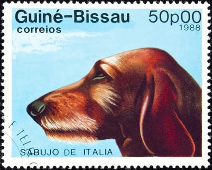 GUINEA-BISSAU - circa 1988:postage stamp features a Sabujo de Italia dog, circa 1988 in the Republic of Guinea-Bissau.