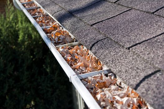 Home maintenance: fall leaves clogging rain gutter.