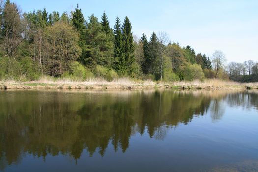 
River in spring season