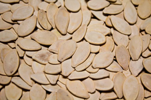 Pumpkin seed closeup