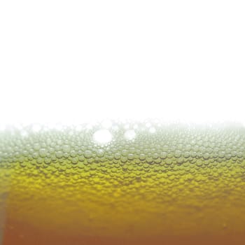 Beer foam in a glass, with copy space