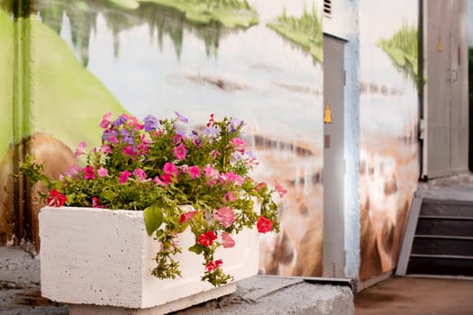 A flowerpot with violets and wall with image in a city yard 
