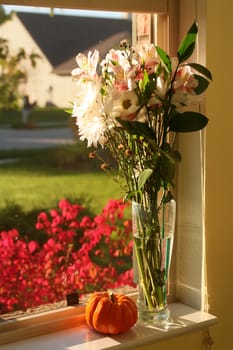 This still life show a miniature pumpkin with a vase of flowers on a window sill.