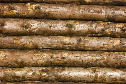 Photo of a wall of the house made of wooden logs