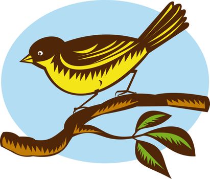 illustration of a New Zealand fantail bird on a branch done in retro woodcut style