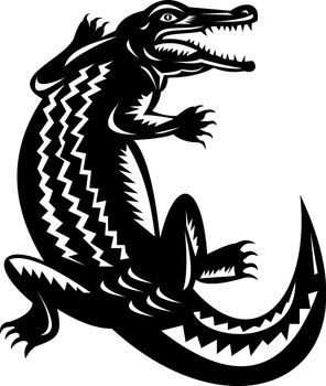 illustration of a crocodile done in retro woodcut style.