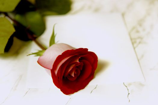 red rose on a marble table and a white envelope

