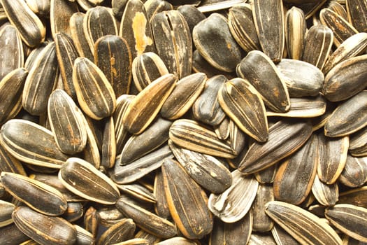 A pile of sunflower seeds  closeup, macro