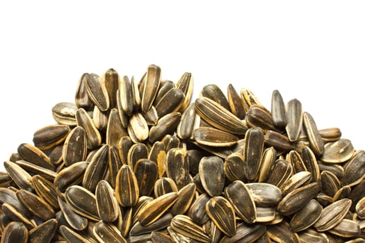 A pile of sunflower seeds isolated on white background