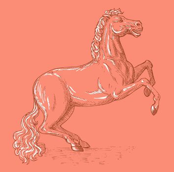 hand sketch ed illustration of a horse prancing viewed from the side