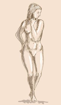 hand sketched Drawing of the female human anatomy figure