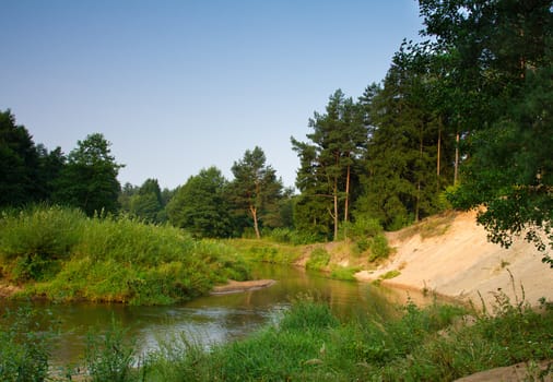 small river in forest