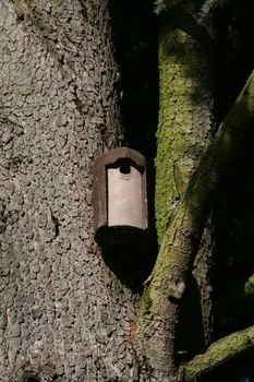 Breeding ground in a tree, protection of birds