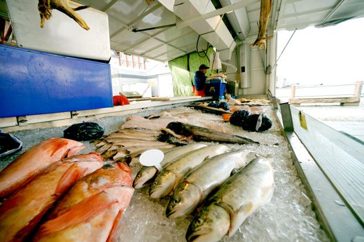 The fish market in Bergen, Norway