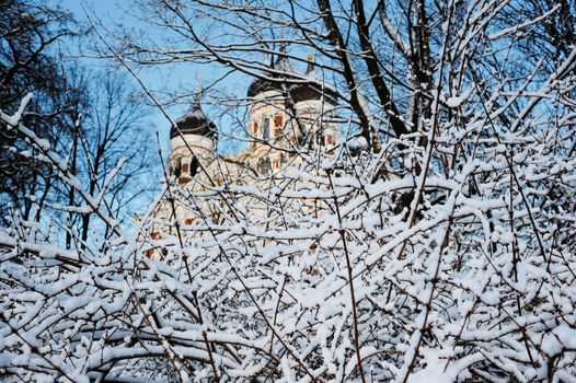 Tree covered with frost against the sky and church