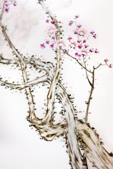 Ancient Traditional Artistic Plum Blossom Pattern .