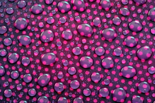 Close-up droplets of water on purple background