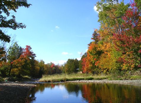 A quiet afternoon near the river