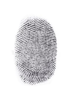 Fingerprint print output in a white background.