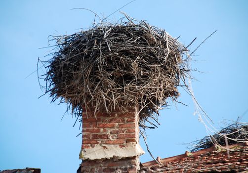 stork nest