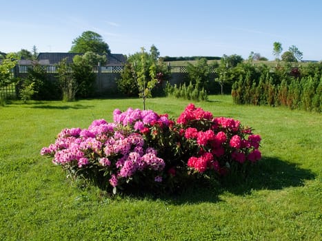 Flowers and plants corner island in a beautiful garden