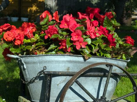 A garden decorated with an old wagon turned into a planter