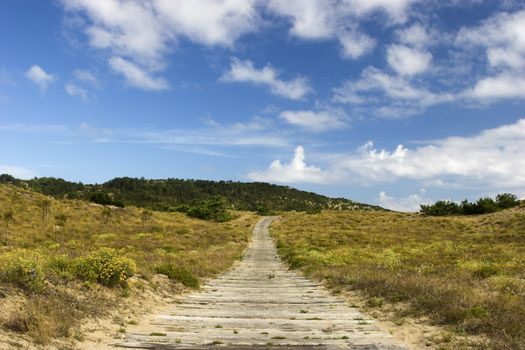 Wood path going to a beautiful place