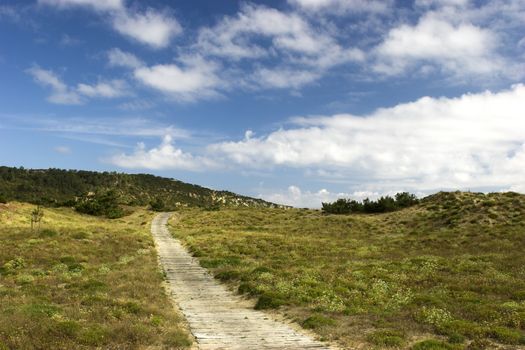 Wood path going to a beautiful place